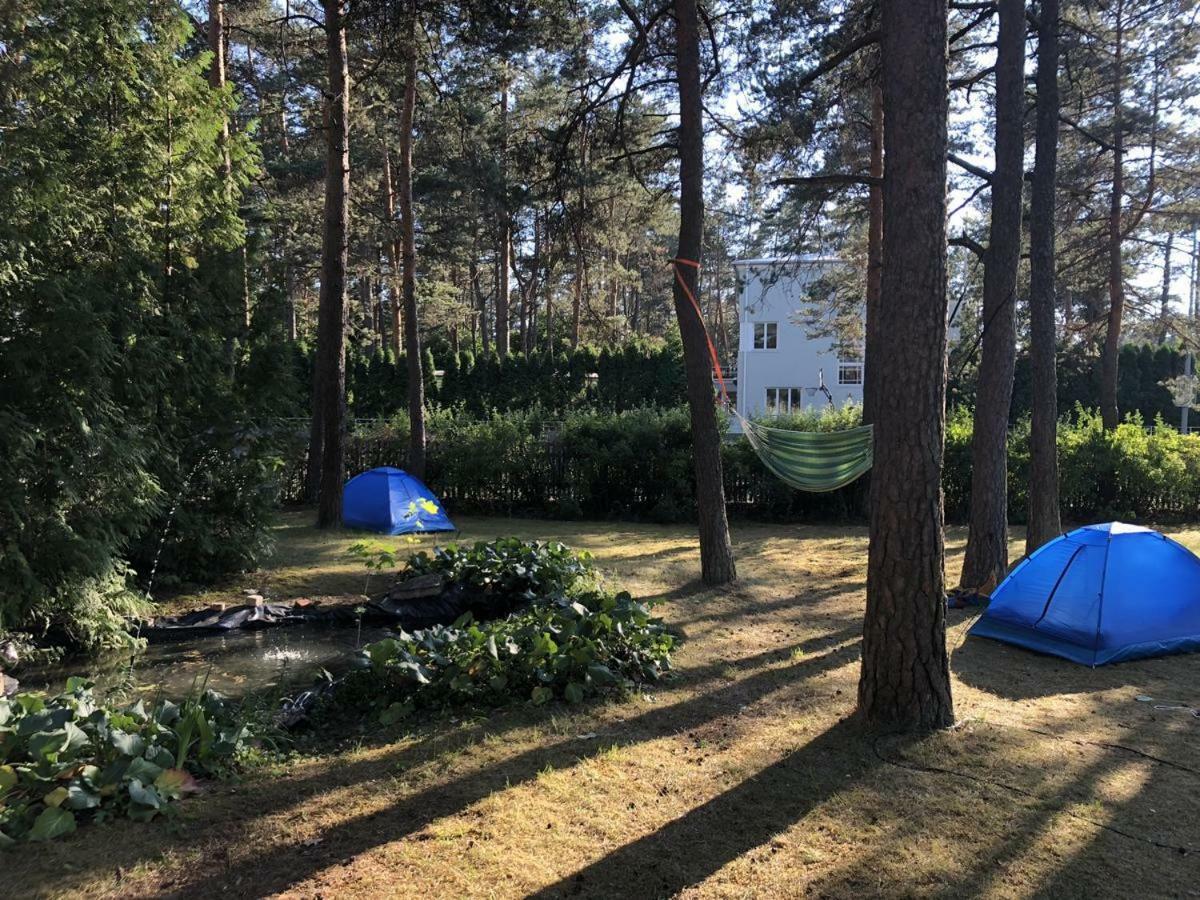 Freedom65 Hostel And Caravan Tallinn Eksteriør billede
